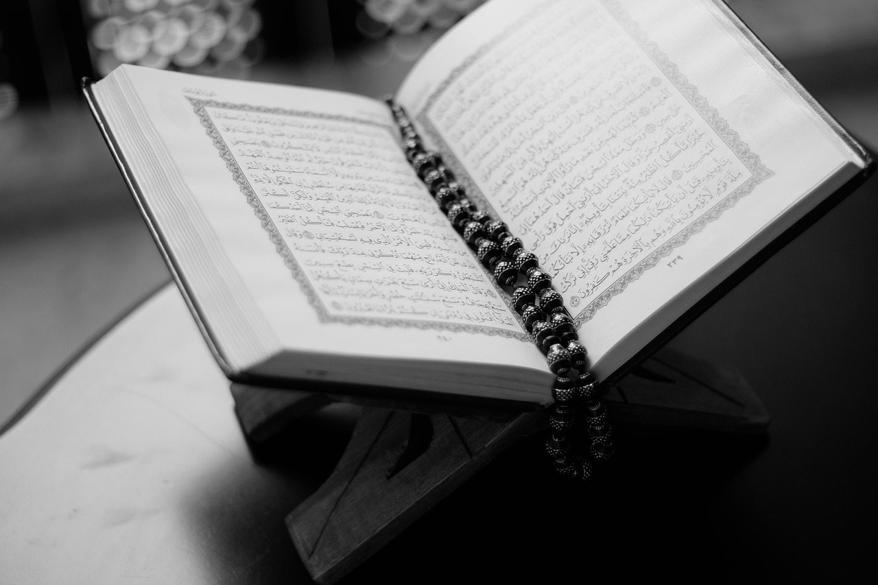 book, quran, open, pages, open book, open quran, islam, holy, muslim, ramadan, religion, culture, religious, pray, prayer, faith, spiritual, allah, god, belief, spirituality, scripture, black and white, monochrome, quran, quran, quran, quran, quran, islam, islam